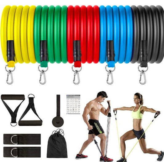 Resistance Exercise Bands with Door Anchor, Handles, Waterproof Carry Bag, Legs Ankle Straps for Resistance Training, Physical Therapy, Home Workouts