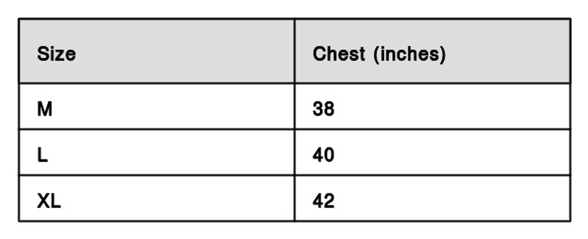 Men Polyester Sports T-Shirt