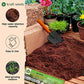 Kraft Seeds - Cocopeat Brick 1kg Block for Gardening & Plants, Expands into Coco Peat Powder (Pack of 1)